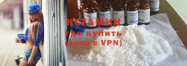 гашик Алексин