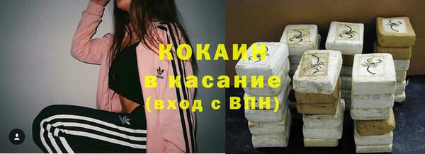 гашик Алексин