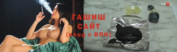 гашик Алексин