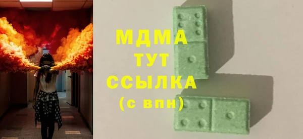 гашик Алексин