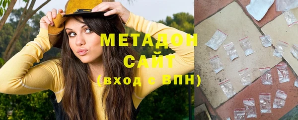 гашик Алексин
