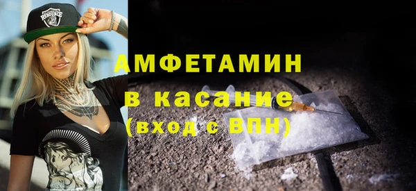 гашик Алексин