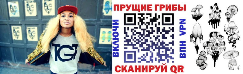 МЕГА ССЫЛКА  Палласовка  Галлюциногенные грибы GOLDEN TEACHER  где продают  